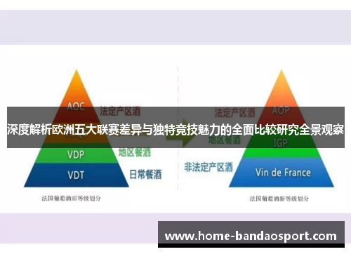 深度解析欧洲五大联赛差异与独特竞技魅力的全面比较研究全景观察