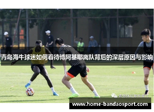 青岛海牛球迷如何看待博阿基耶离队背后的深层原因与影响