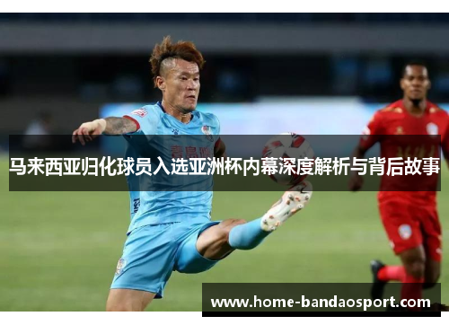 马来西亚归化球员入选亚洲杯内幕深度解析与背后故事